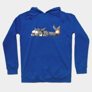 Secret Shark Sipper Hoodie